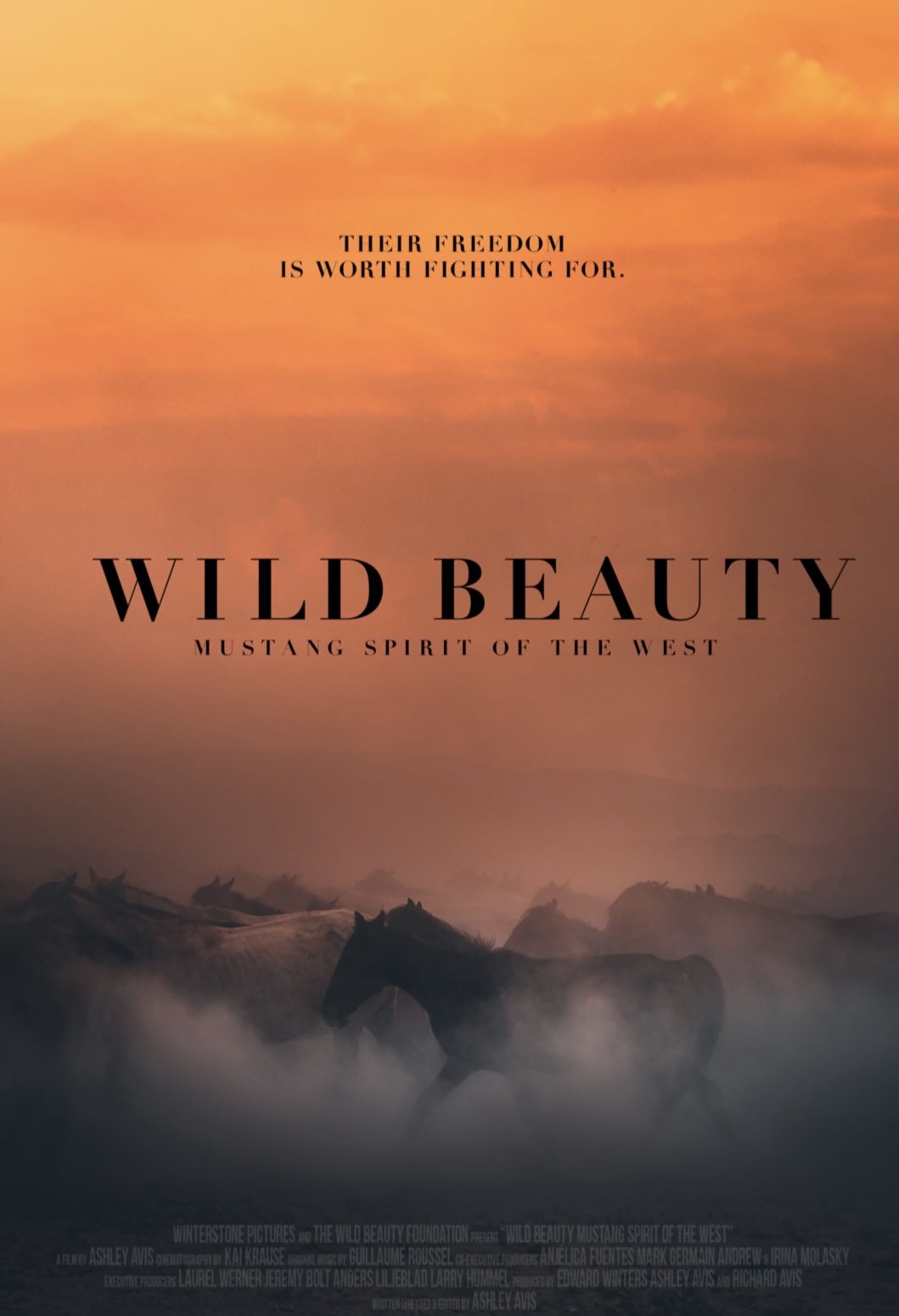 Wild Beauty: Mustang Spirit of the West